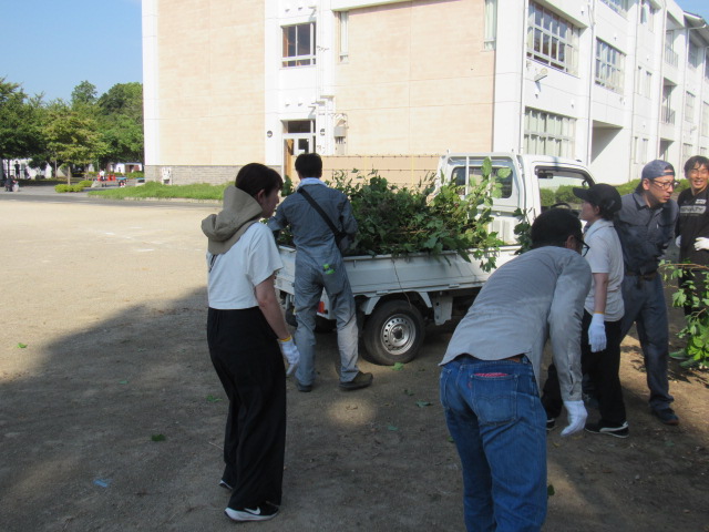 IMG_0181 IMG_0181