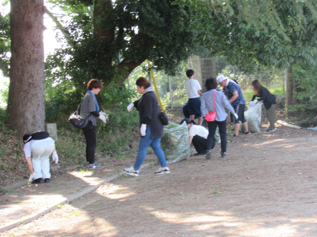 IMG_0182 IMG_0182