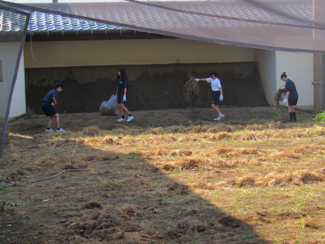IMG_0173 IMG_0173