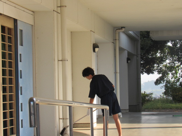 IMG_0170 IMG_0170