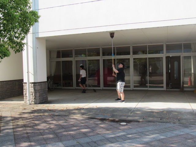 IMG_0175 IMG_0175