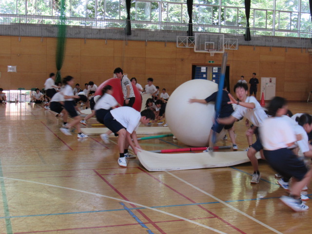 IMG_0311 IMG_0311