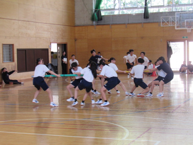 IMG_0313 IMG_0313