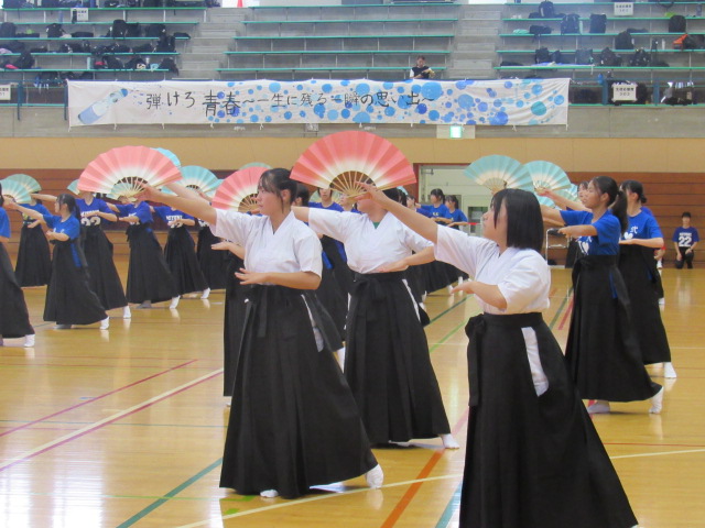 IMG_0411 IMG_0411