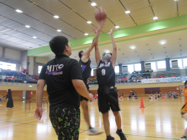 IMG_0433 IMG_0433
