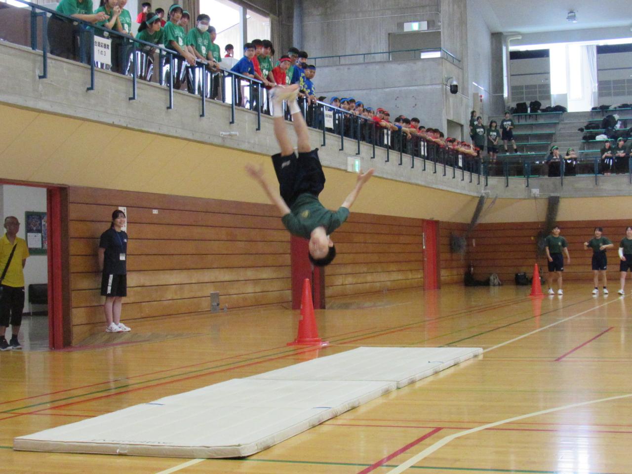 IMG_0449 IMG_0449