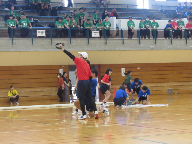 IMG_0431 IMG_0431
