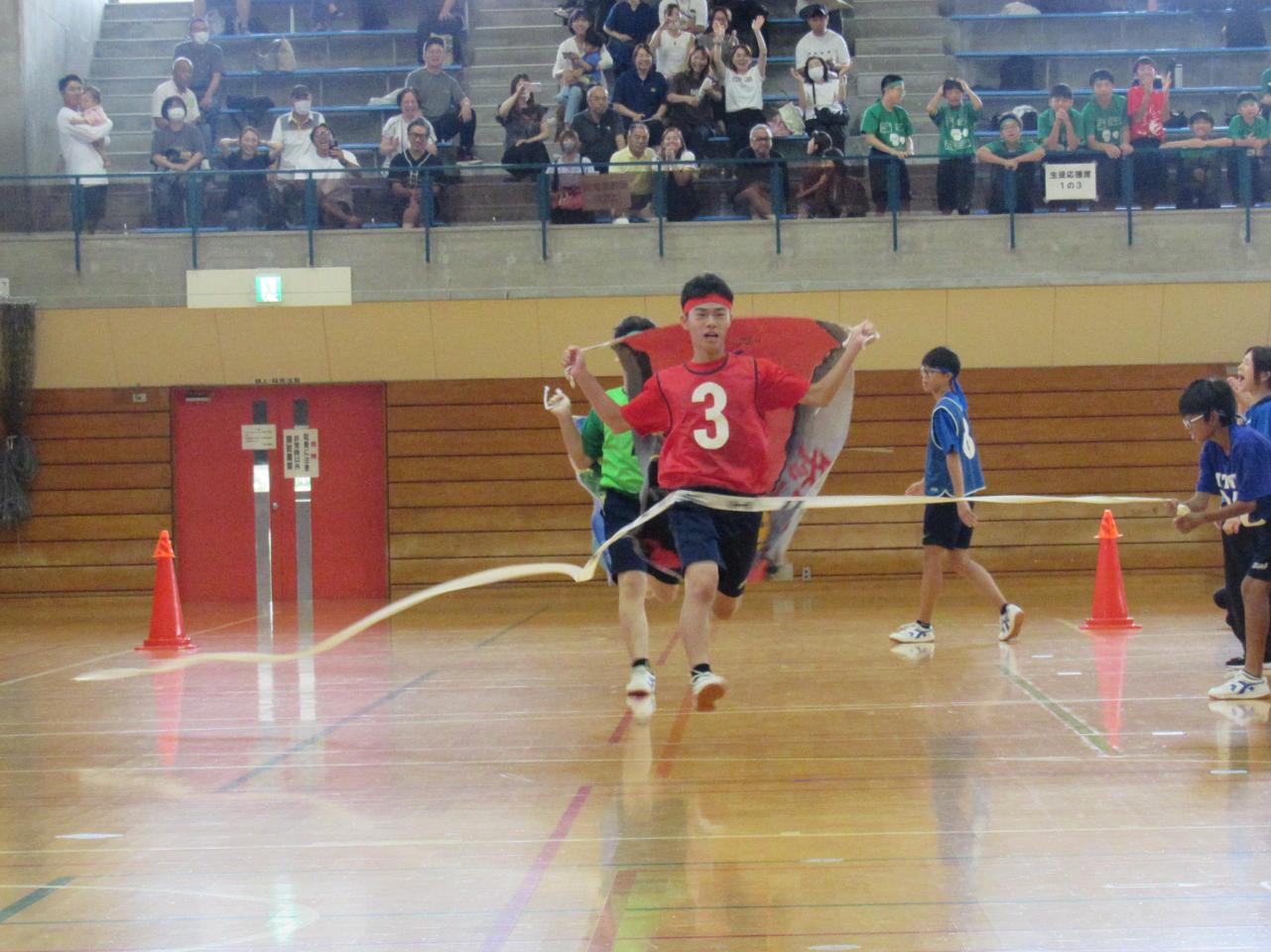 IMG_1290 IMG_1290