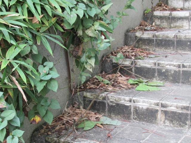 IMG_3283 IMG_3283