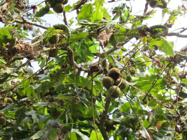 IMG_3282 IMG_3282