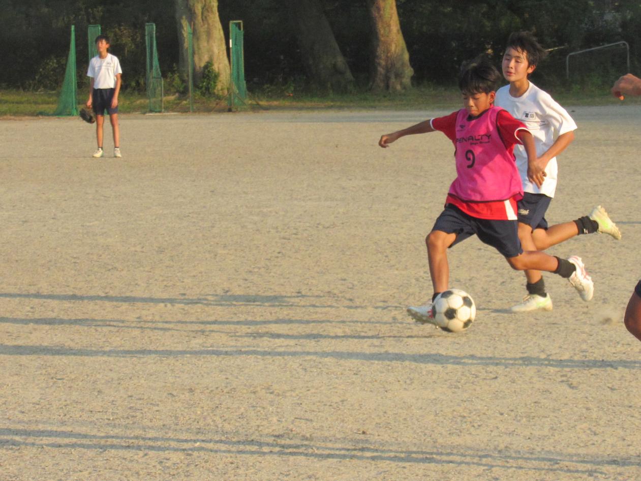 IMG_1806 IMG_1806