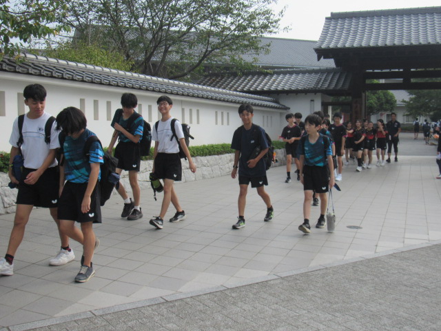 IMG_1929 IMG_1929