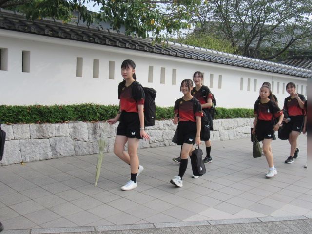 IMG_1931 IMG_1931