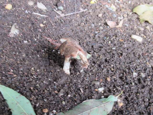 IMG_3344 IMG_3344