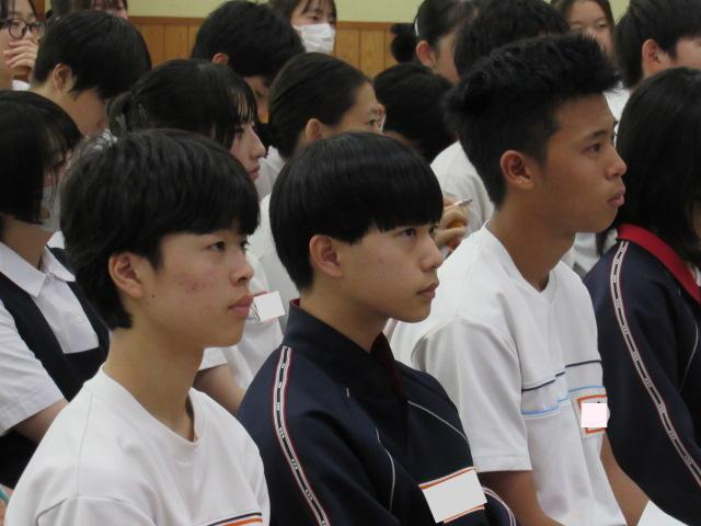IMG_1984 IMG_1984