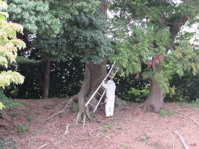 IMG_2054 IMG_2054