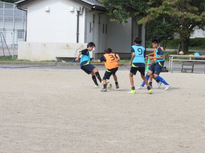 IMG_2540 IMG_2540