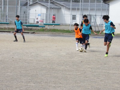 IMG_2546 IMG_2546