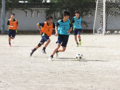 IMG_2625 IMG_2625