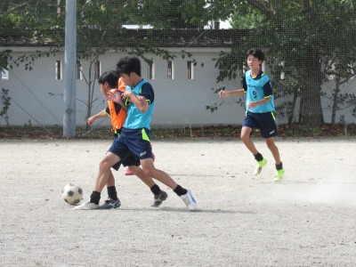 IMG_2650 IMG_2650