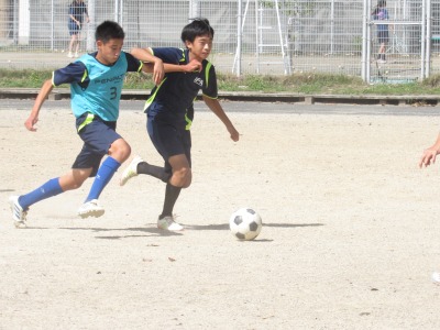 IMG_2765 IMG_2765