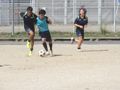 IMG_2791 IMG_2791