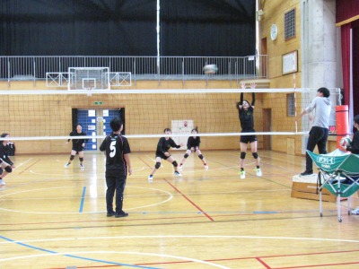 IMG_2977 IMG_2977
