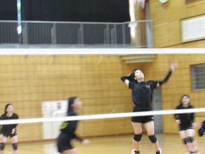IMG_3046 IMG_3046