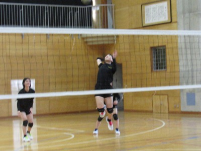 IMG_3076 (1) IMG_3076 (1)