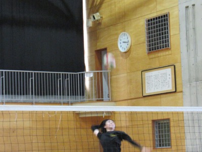 IMG_3135 IMG_3135