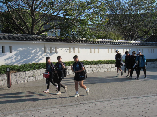 IMG_3199 IMG_3199