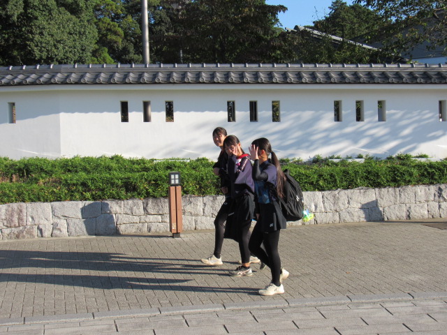 IMG_3198 IMG_3198
