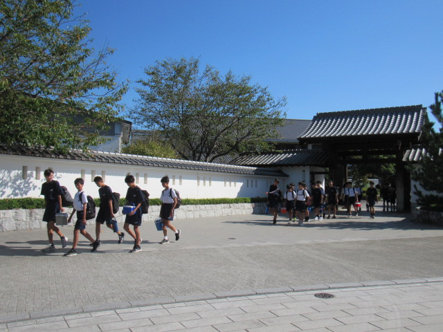 IMG_3226 IMG_3226