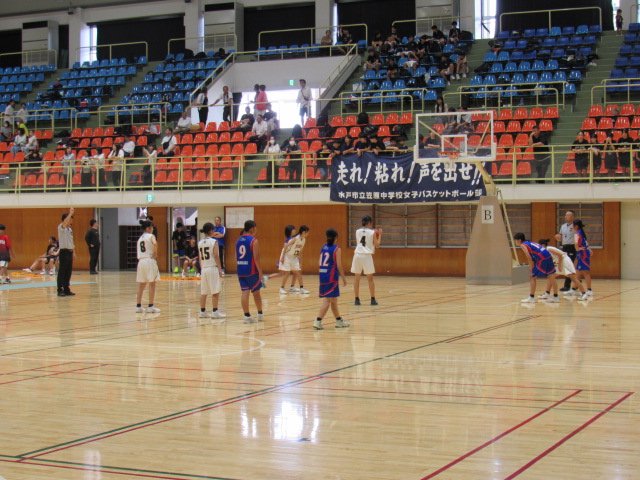IMG_3237 IMG_3237