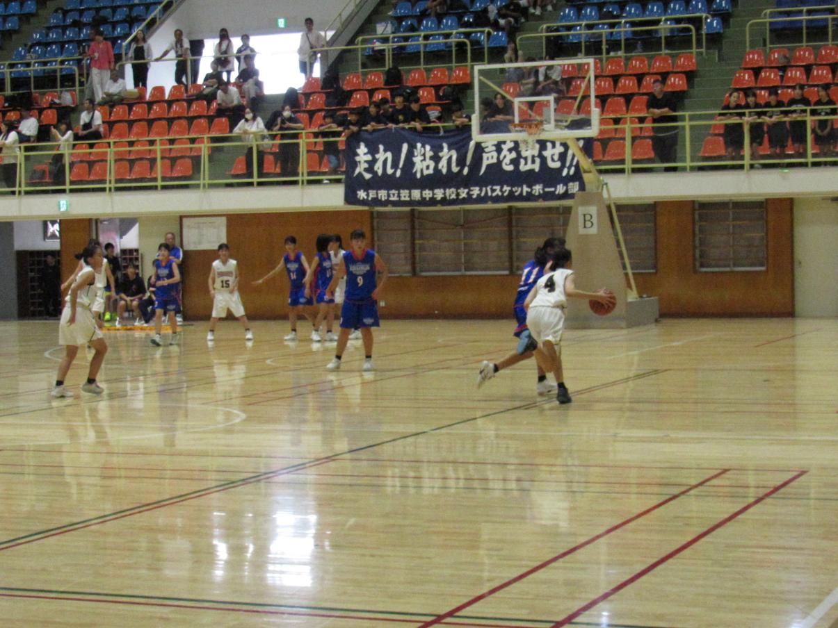 IMG_3248 IMG_3248