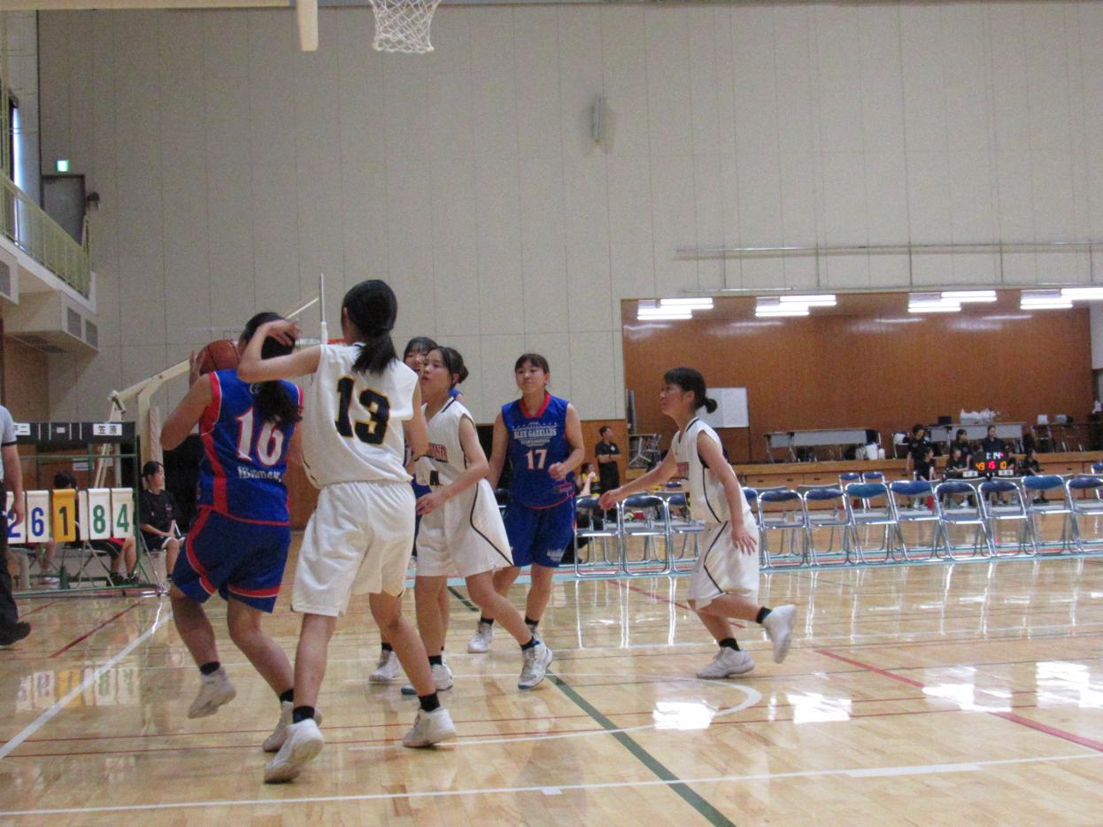 IMG_3264 IMG_3264