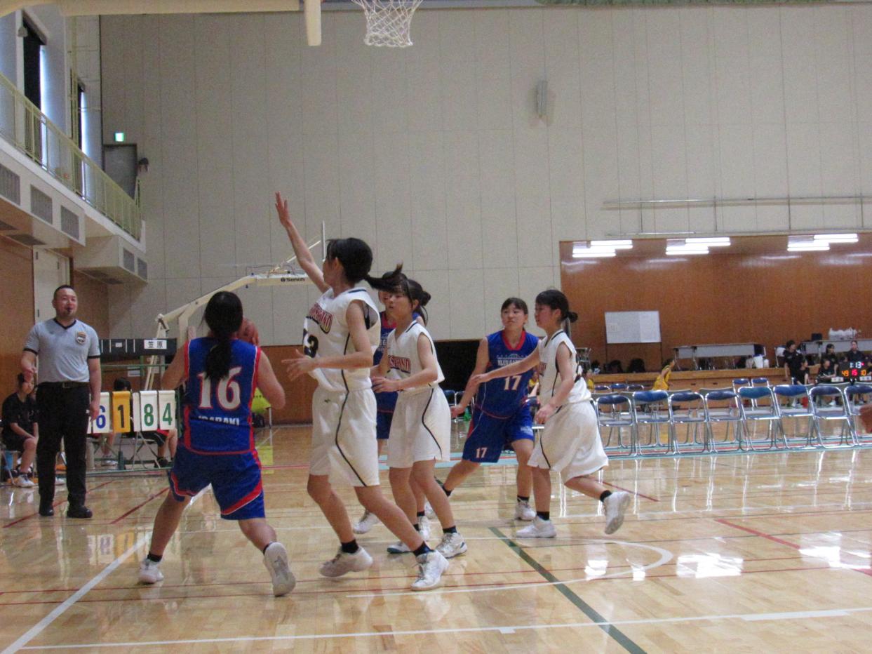 IMG_3264 IMG_3264