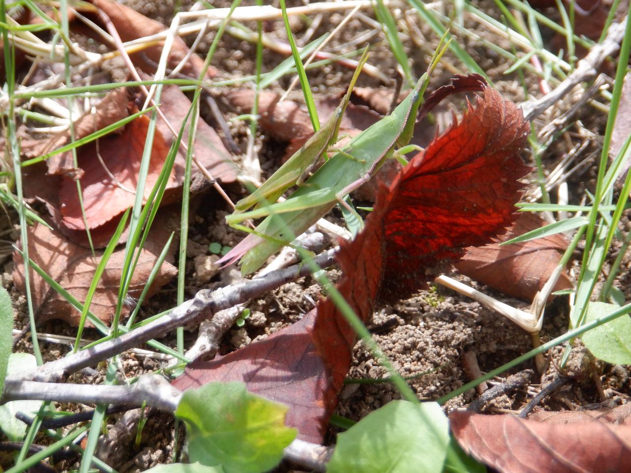 DSCF6978 DSCF6978