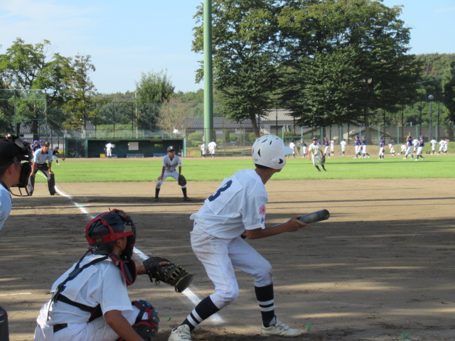 IMG_3478 IMG_3478