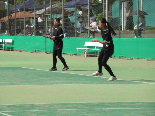IMG_3536 IMG_3536