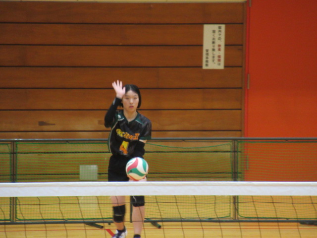 IMG_3550 IMG_3550