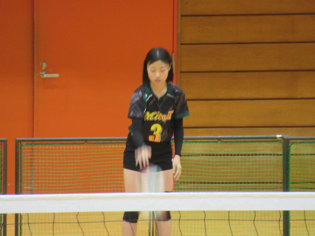 IMG_3555 IMG_3555