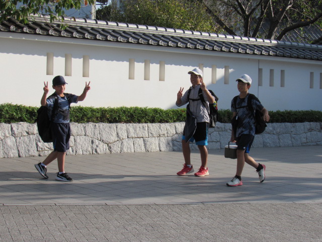 IMG_3293 IMG_3293