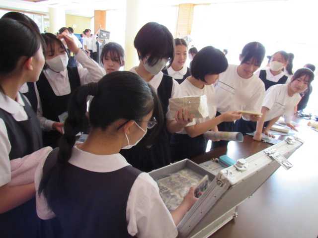 IMG_3357 IMG_3357