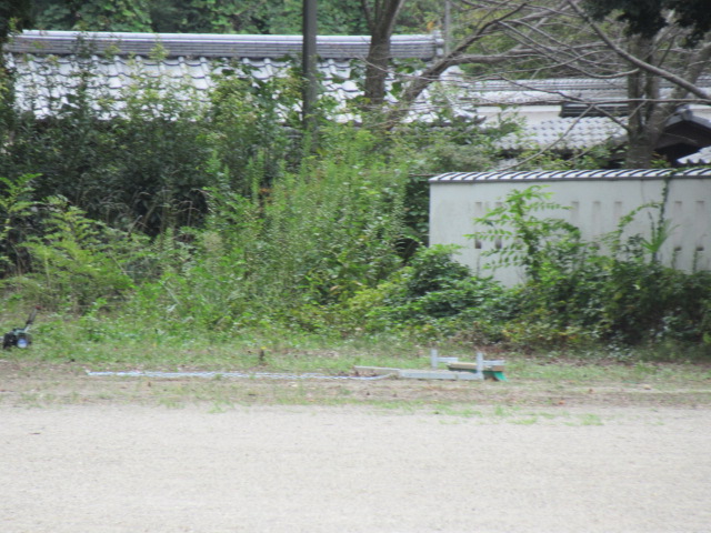 IMG_3591 IMG_3591
