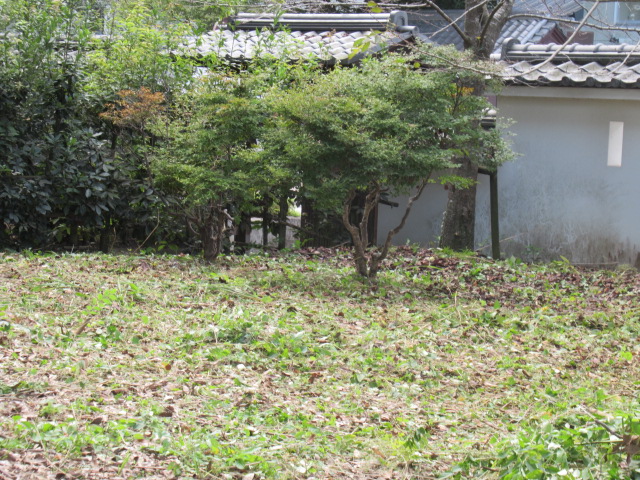 IMG_3635 IMG_3635