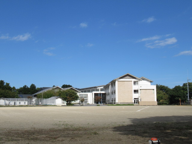 IMG_3636 IMG_3636