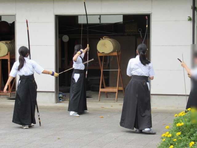 IMG_3601 IMG_3601