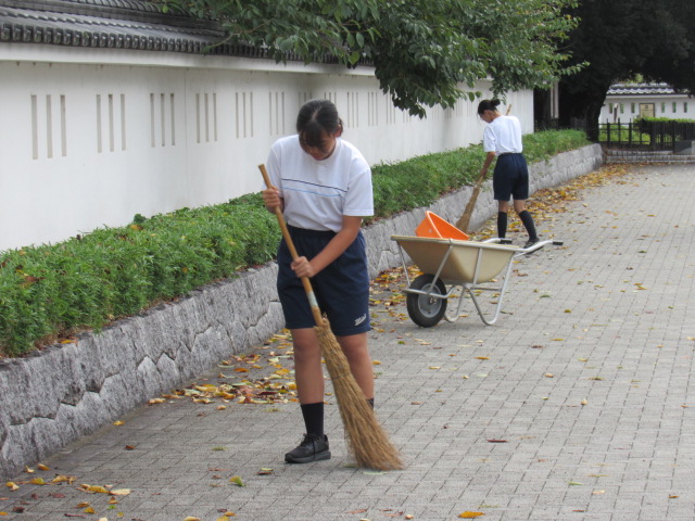 IMG_1944 IMG_1944