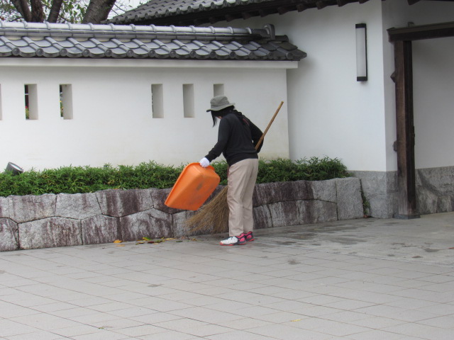 IMG_1945 IMG_1945